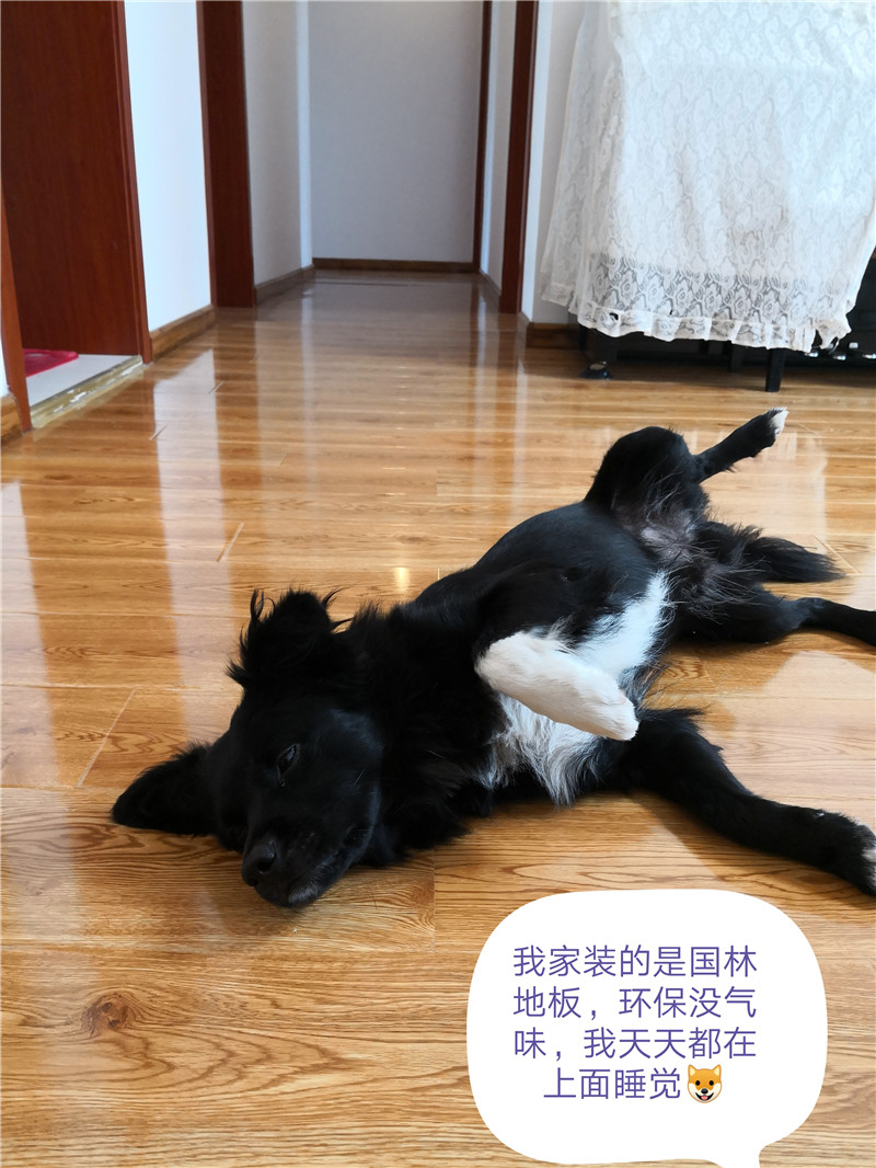 od电子（中国）科技有限公司
